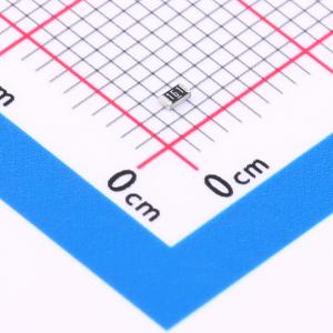 RT0603BRB07160RL商品缩略图