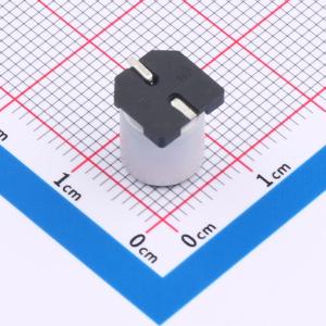 RVT1C331M0810商品缩略图