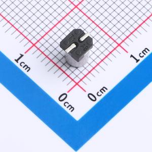 RVT1E100M0405商品缩略图