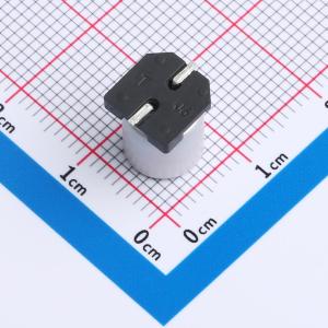 CS1V221M-CRF10商品缩略图