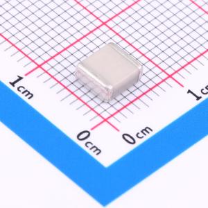 FV55N222J202EGG商品缩略图