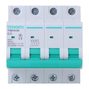 TGB1N-63 4P C50商品缩略图