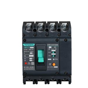 TENGEN(天正电气）漏电断路器(祥云3.0) 非延时型 TGM1NL-125L/4300B 100A 100/300/500mA