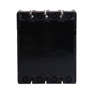 TGM1L-125L/4300B 63A 100/300/500mA 0.2s商品缩略图