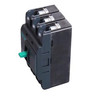 TGM1N-125L/3300 50A商品缩略图