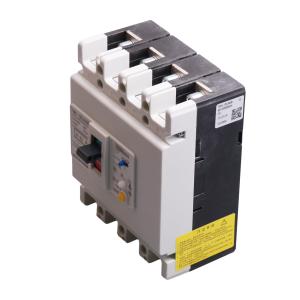 TGM1L-125L/4300B 63A 100/300/500mA 0.2s商品缩略图