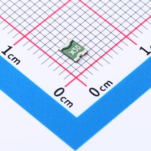 MICROSMD050F-2商品缩略图