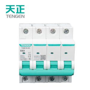 TGB1N-63 4P C10商品缩略图