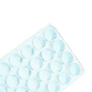 110303006商品缩略图