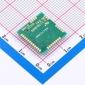 RAK3172-T-8-SM-NI商品缩略图