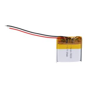 302020-100mah商品缩略图