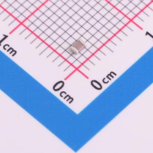 CGA4C4C0G2W221JT0Y0N商品缩略图