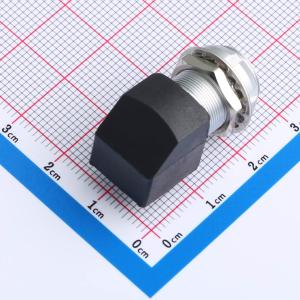 ZXG.1B.P05.HLN商品缩略图