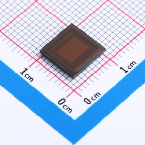1/3英寸 1.2 MP CMOS图像传感器 数字型 全局快门