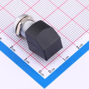 ZXG.0B.P09.HLN商品缩略图