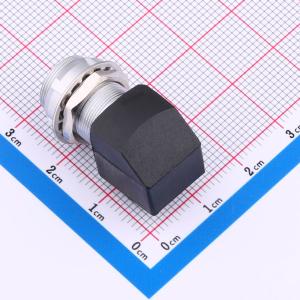 ZXG.1B.P04.HLN商品缩略图