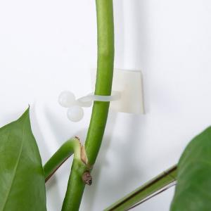 BY-19194商品缩略图