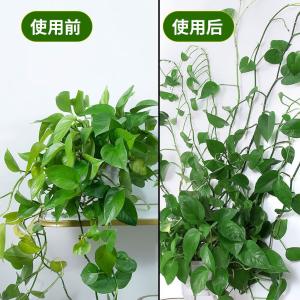 BY-19194商品缩略图