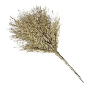 BY-19266商品缩略图