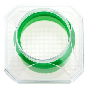 BY-5882商品缩略图