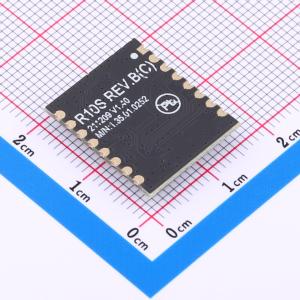 R10S REV.B(HC22V)商品缩略图