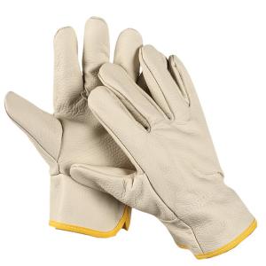 BY-11318商品缩略图