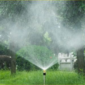 BY-12371商品缩略图