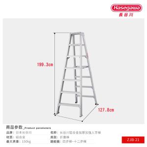 ZJB-21商品缩略图