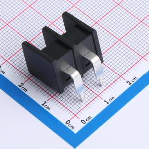 DBT30R-8.25-2P-BK-P商品缩略图