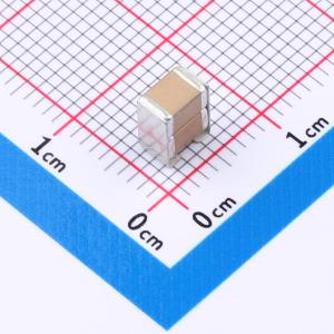 FE2CX225M251LFL商品缩略图