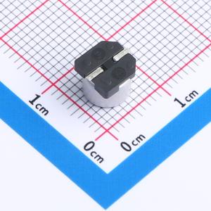 RVT1H470M0605商品缩略图