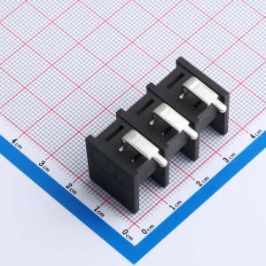 DBT30R-11.0-3P-BK-P商品缩略图