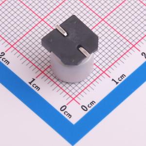 CK1J101M-CRG10商品缩略图