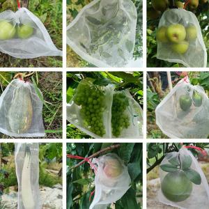 BY-3672商品缩略图