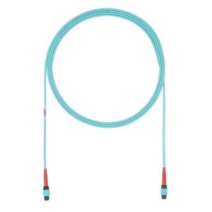 FXURLENENYNM001商品缩略图