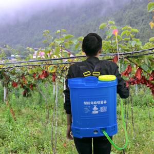 BY-3660商品缩略图