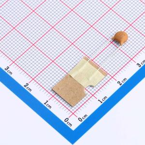 CC1H102MC1PDB44B3100商品缩略图