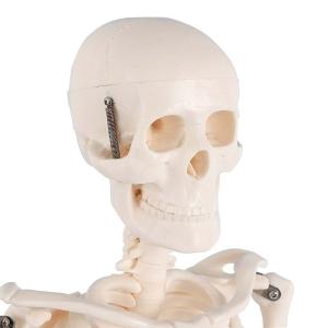 BY-13137商品缩略图