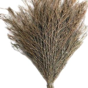 BY-12741商品缩略图