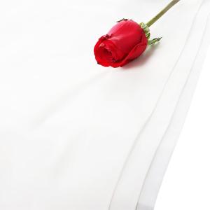 BY-13552商品缩略图