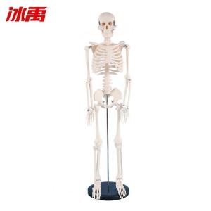 BY-13137商品缩略图