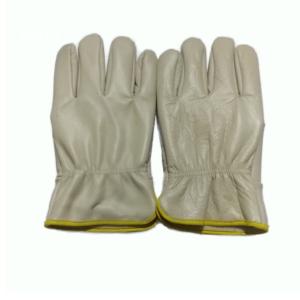 TD-GL5613商品缩略图