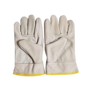 TD-GL5613商品缩略图