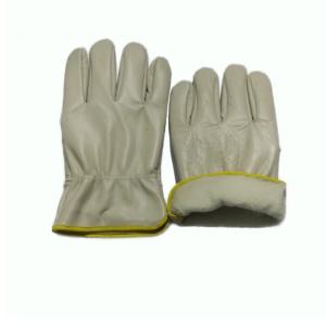 TD-GL5613商品缩略图