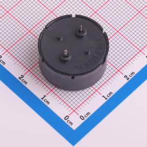 PKM22EPPH2002-B0商品缩略图