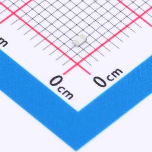 RCA031R2JLF商品缩略图