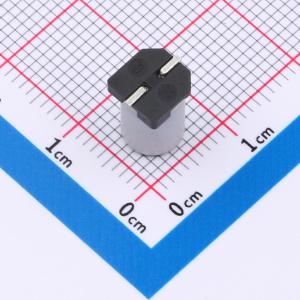 EFVD250ADA2R2M06B0商品缩略图