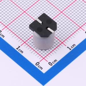 EFVZ050ADA101M08B0商品缩略图