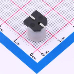 EFVH050ADA470M08B0商品缩略图