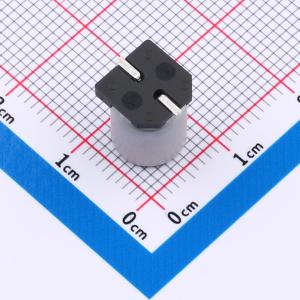 EFVZ025ADA221M08B0商品缩略图